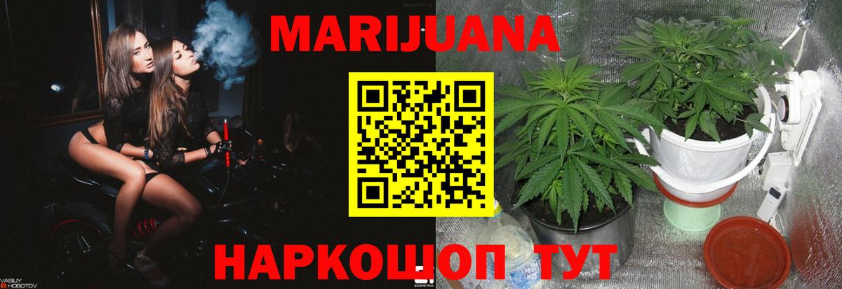 Конопля OG Kush Норильск